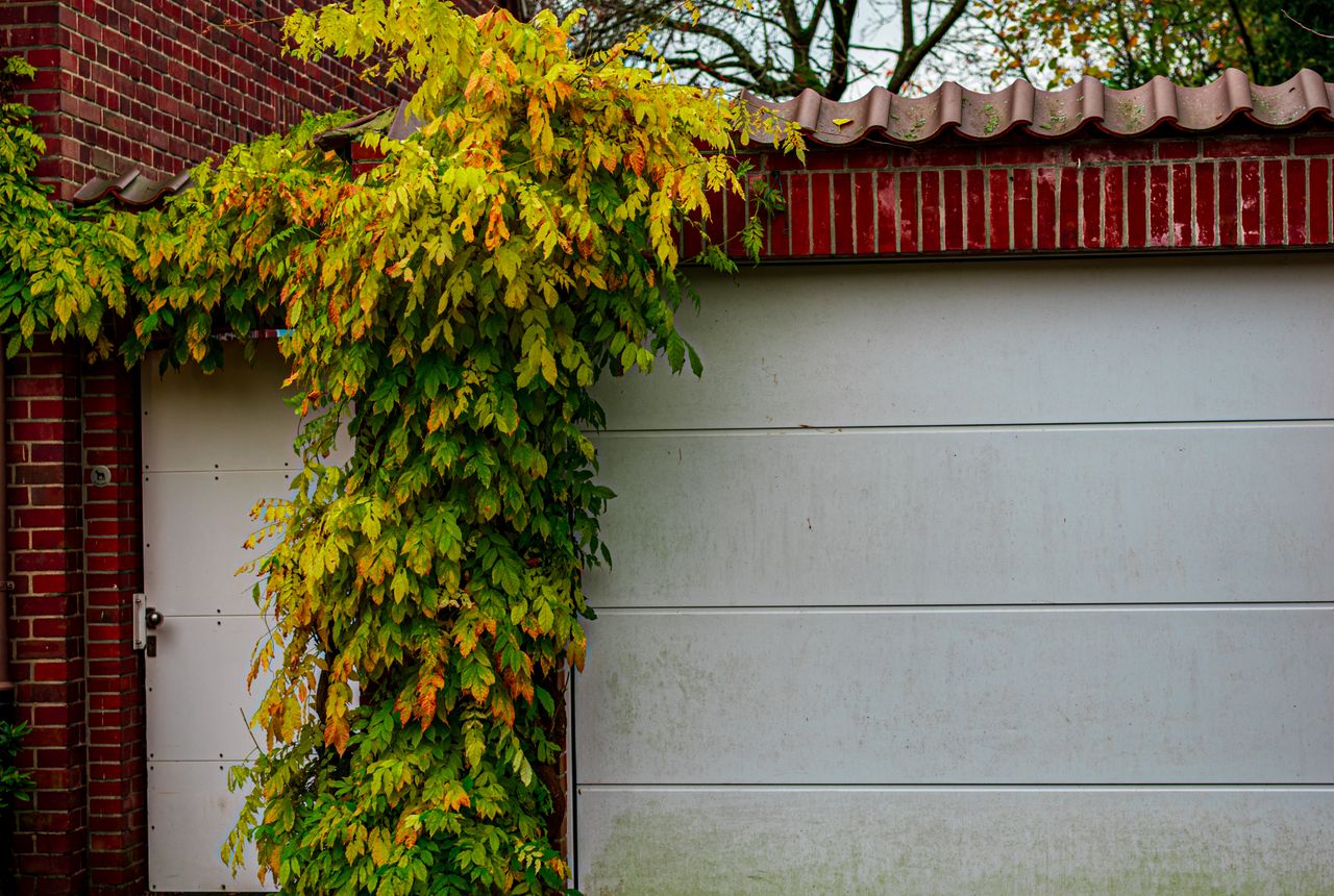 Garage door service in Grand Rapids, MI